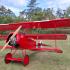 Fokker DR1 von Klaus Döhne mit stattliche 93 Kilo im Display